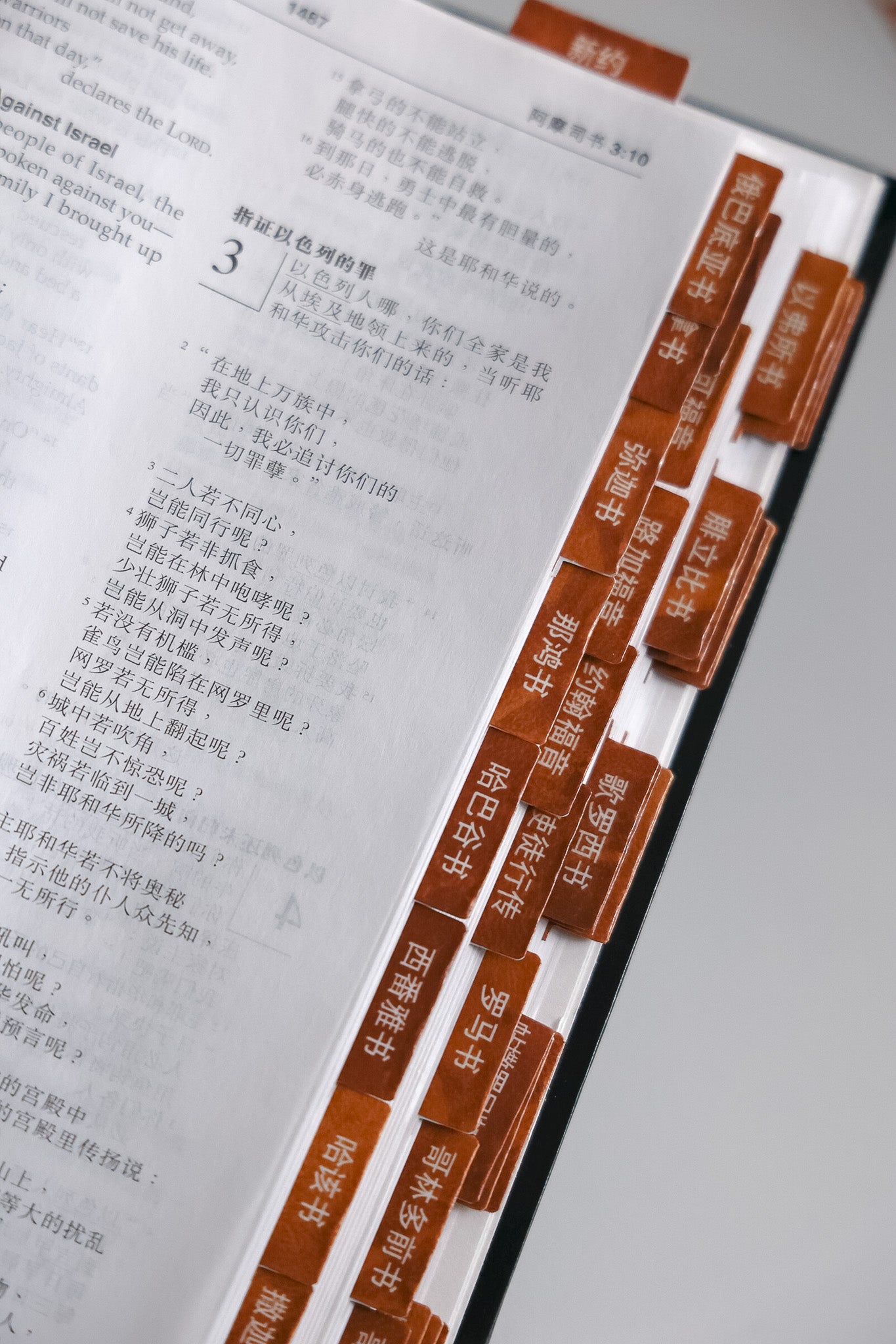Faux Leather Bible Tabs-4 colors